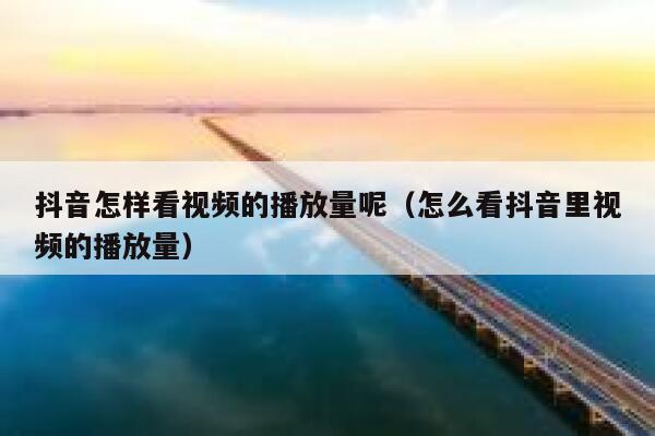抖音怎样看视频的播放量呢（怎么看抖音里视频的播放量） 第1张