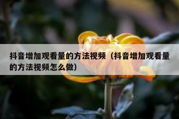 抖音增加观看量的方法视频(抖音增加观看量的方法视频怎么做) 第1张 抖音增加观看量的方法视频(抖音增加观看量的方法视频怎么做) 第1张