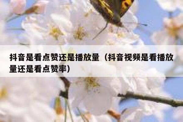 抖音是看点赞还是播放量(抖音视频是看播放量还是看点赞率) 第1张 抖音是看点赞还是播放量(抖音视频是看播放量还是看点赞率) 第1张