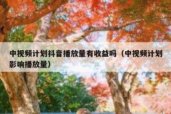 中视频计划抖音播放量有收益吗（中视频计划影响播放量） 第1张