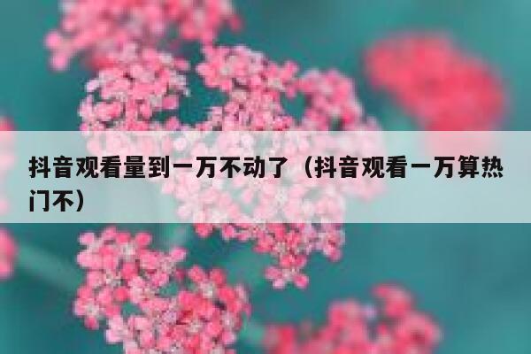 抖音观看量到一万不动了(抖音观看一万算热门不) 第1张 抖音观看量到一万不动了(抖音观看一万算热门不) 第1张