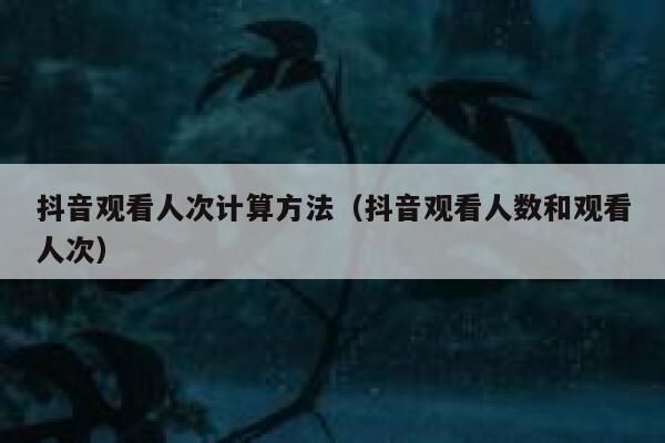 抖音观看人次计算方法（抖音观看人数和观看人次） 第1张