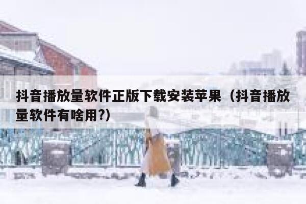 抖音播放量软件正版下载安装苹果（抖音播放量软件有啥用?） 第1张