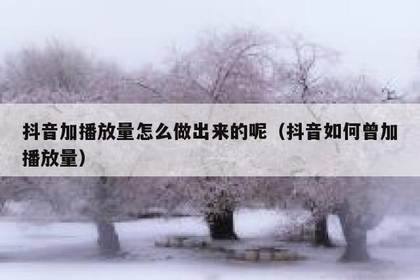抖音加播放量怎么做出来的呢（抖音如何曾加播放量） 第1张
