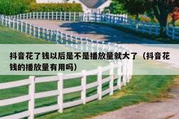 抖音花了钱以后是不是播放量就大了（抖音花钱的播放量有用吗） 第1张