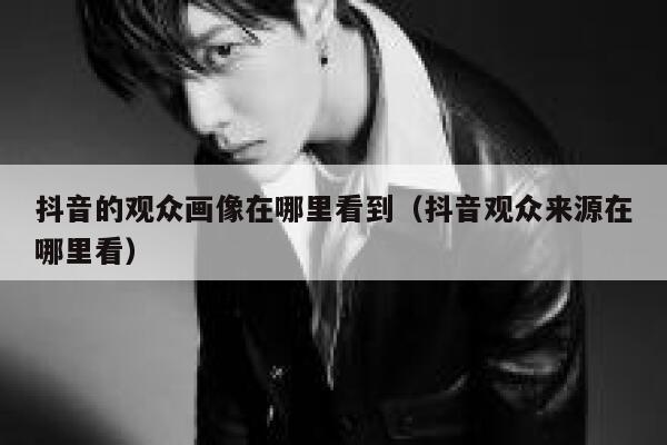 抖音的观众画像在哪里看到（抖音观众来源在哪里看） 第1张