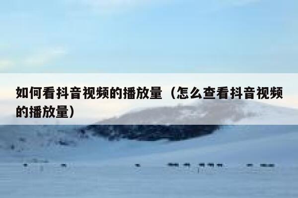 如何看抖音视频的播放量（怎么查看抖音视频的播放量） 第1张