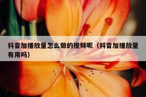 抖音加播放量怎么做的视频呢(抖音加播放量有用吗) 第1张 抖音加播放量怎么做的视频呢(抖音加播放量有用吗) 第1张