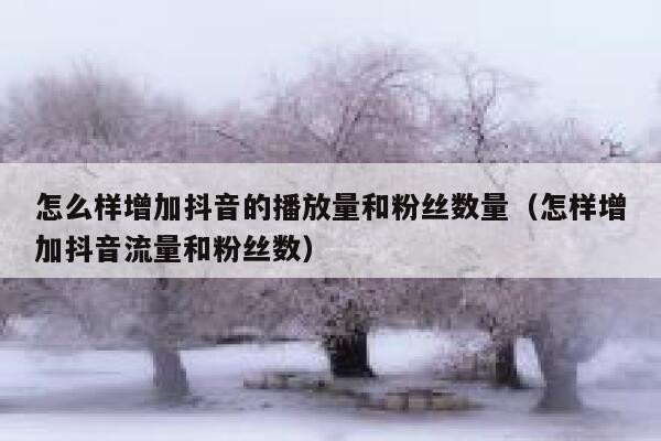 怎么样增加抖音的播放量和粉丝数量(怎样增加抖音流量和粉丝数) 第1张 怎么样增加抖音的播放量和粉丝数量(怎样增加抖音流量和粉丝数) 第1张