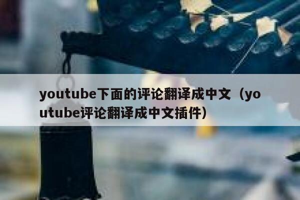 youtube下面的评论翻译成中文（youtube评论翻译成中文插件） 第1张