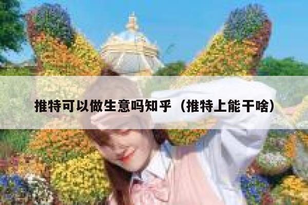 推特可以做生意吗知乎(推特上能干啥) 第1张 推特可以做生意吗知乎(推特上能干啥) 第1张