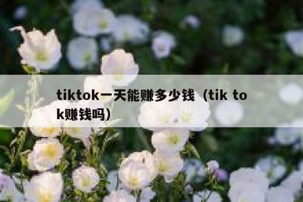 tiktok一天能赚多少钱(tik tok赚钱吗) 第1张 tiktok一天能赚多少钱(tik tok赚钱吗) 第1张