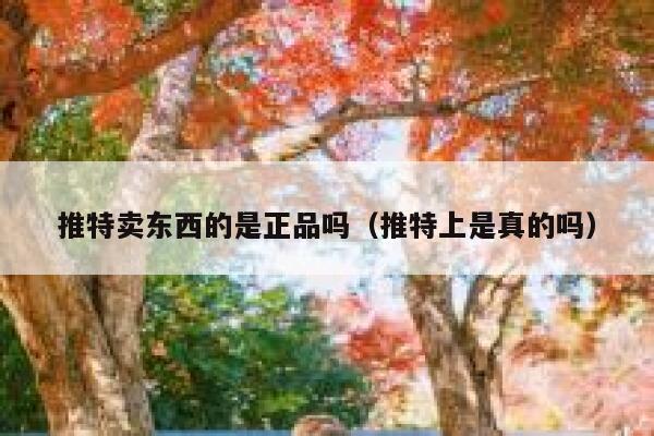 推特卖东西的是正品吗（推特上是真的吗） 第1张