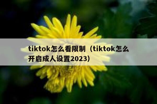 tiktok怎么看限制（tiktok怎么开启成人设置2023） 第1张