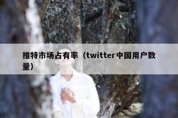 推特市场占有率（twitter中国用户数量） 第1张