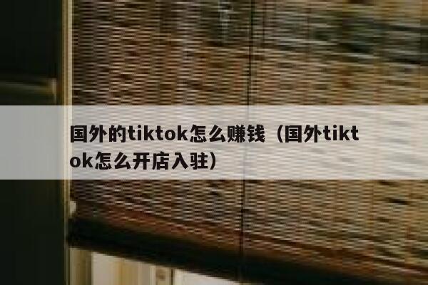 国外的tiktok怎么赚钱（国外tiktok怎么开店入驻） 第1张