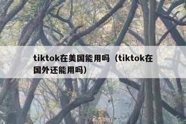 tiktok在美国能用吗（tiktok在国外还能用吗） 第1张