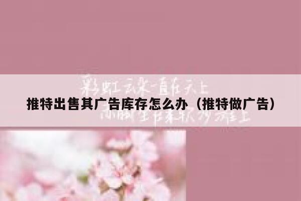 推特出售其广告库存怎么办（推特做广告） 第1张