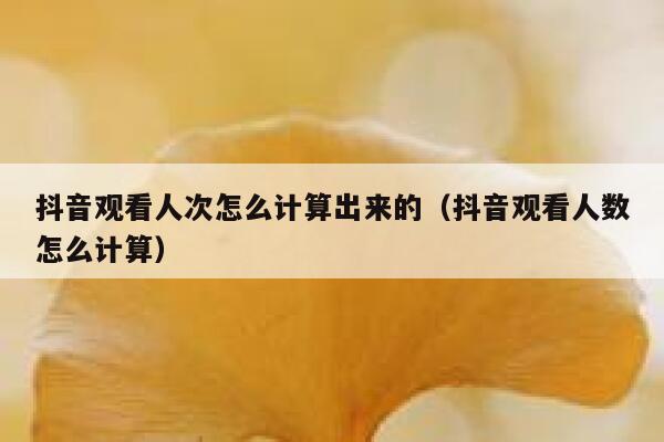 抖音观看人次怎么计算出来的(抖音观看人数怎么计算) 第1张 抖音观看人次怎么计算出来的(抖音观看人数怎么计算) 第1张