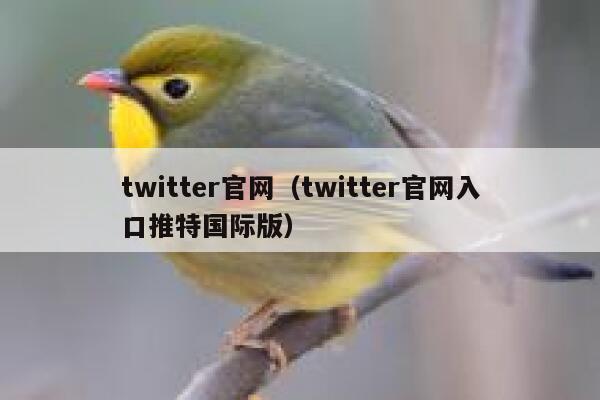 twitter官网(twitter官网入口推特国际版) 第1张 twitter官网(twitter官网入口推特国际版) 第1张