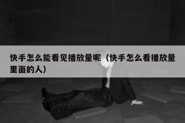 快手怎么能看见播放量呢(快手怎么看播放量里面的人) 第1张 快手怎么能看见播放量呢(快手怎么看播放量里面的人) 第1张