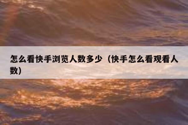 怎么看快手浏览人数多少（快手怎么看观看人数） 第1张