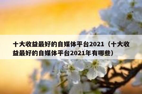 十大收益最好的自媒体平台2021(十大收益最好的自媒体平台2021年有哪些) 第1张 十大收益最好的自媒体平台2021(十大收益最好的自媒体平台2021年有哪些) 第1张