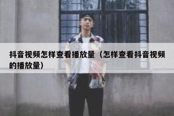 抖音视频怎样查看播放量（怎样查看抖音视频的播放量） 第1张