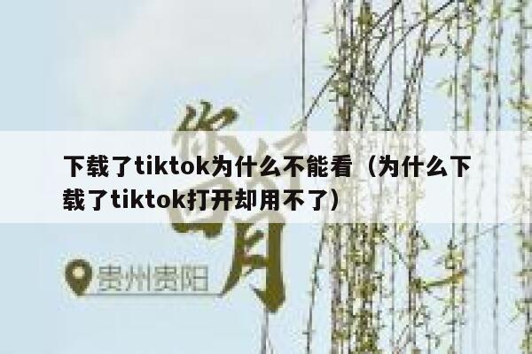 下载了tiktok为什么不能看（为什么下载了tiktok打开却用不了） 第1张