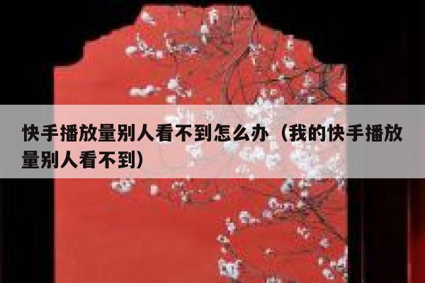 快手播放量别人看不到怎么办（我的快手播放量别人看不到） 第1张