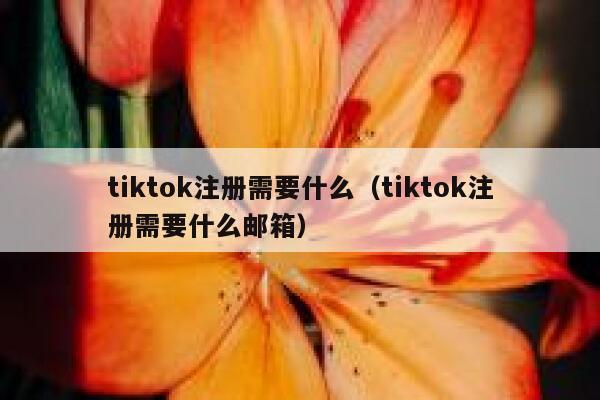 tiktok注册需要什么（tiktok注册需要什么邮箱） 第1张