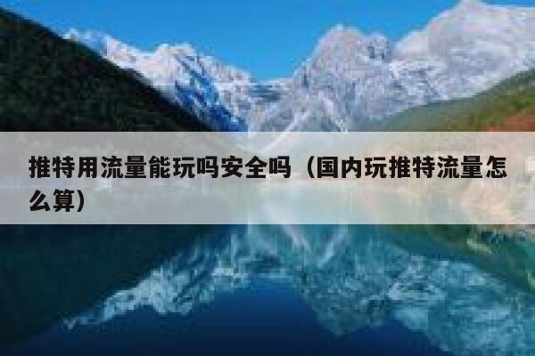 推特用流量能玩吗安全吗(国内玩推特流量怎么算) 第1张 推特用流量能玩吗安全吗(国内玩推特流量怎么算) 第1张