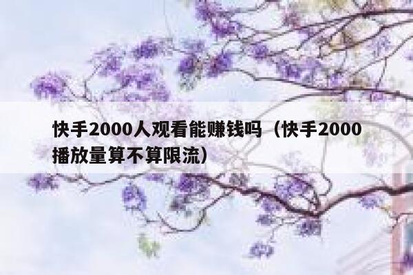 快手2000人观看能赚钱吗（快手2000播放量算不算限流） 第1张