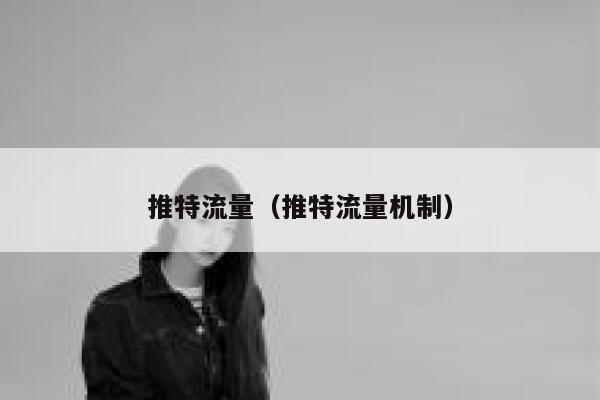 推特流量（推特流量机制） 第1张