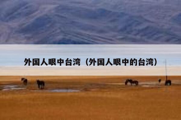 外国人眼中台湾（外国人眼中的台湾） 第1张