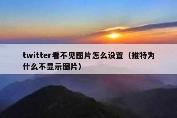 twitter看不见图片怎么设置(推特为什么不显示图片) 第1张 twitter看不见图片怎么设置(推特为什么不显示图片) 第1张