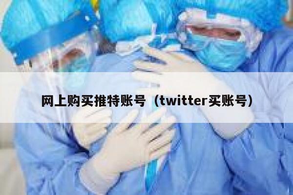 网上购买推特账号（twitter买账号） 第1张