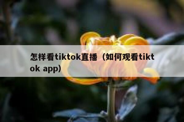 怎样看tiktok直播（如何观看tiktok app） 第1张