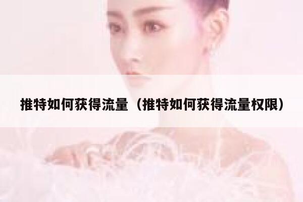 推特如何获得流量(推特如何获得流量权限) 第1张 推特如何获得流量(推特如何获得流量权限) 第1张