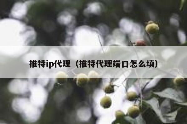 推特ip代理（推特代理端口怎么填） 第1张