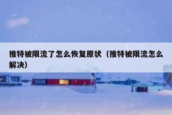 推特被限流了怎么恢复原状(推特被限流怎么解决) 第1张 推特被限流了怎么恢复原状(推特被限流怎么解决) 第1张