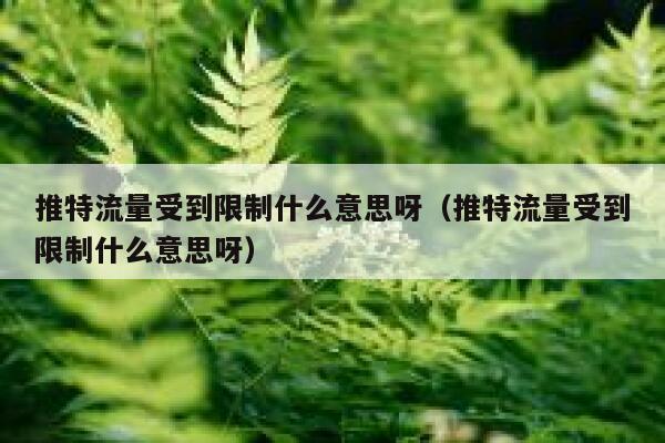 推特流量受到限制什么意思呀（推特流量受到限制什么意思呀） 第1张