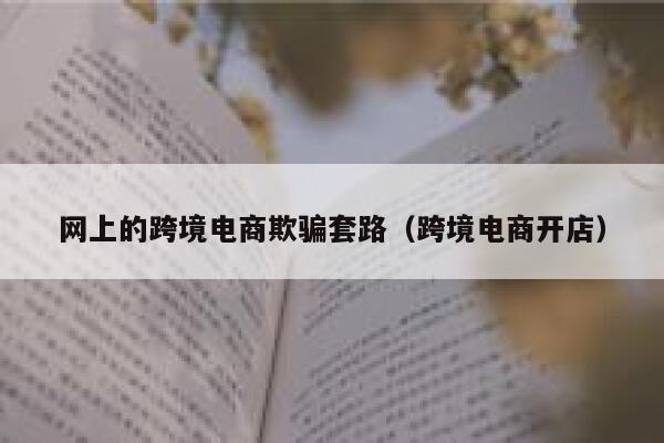 网上的跨境电商欺骗套路（跨境电商开店） 第1张