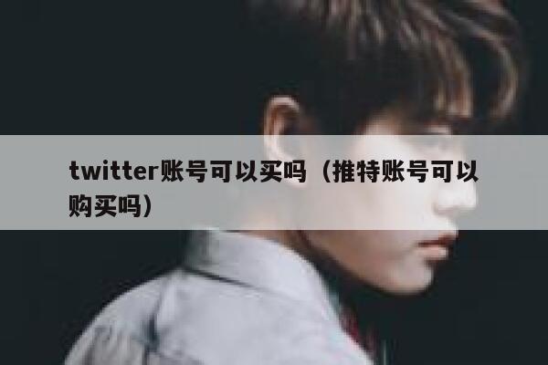 twitter账号可以买吗（推特账号可以购买吗） 第1张