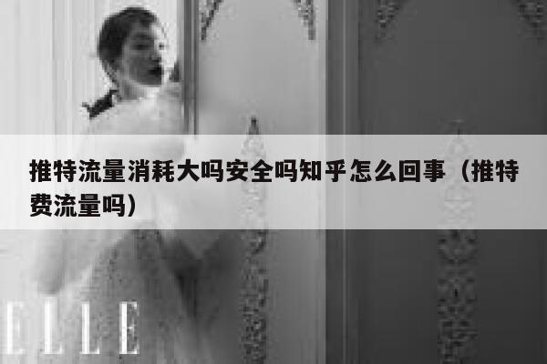 推特流量消耗大吗安全吗知乎怎么回事（推特费流量吗） 第1张