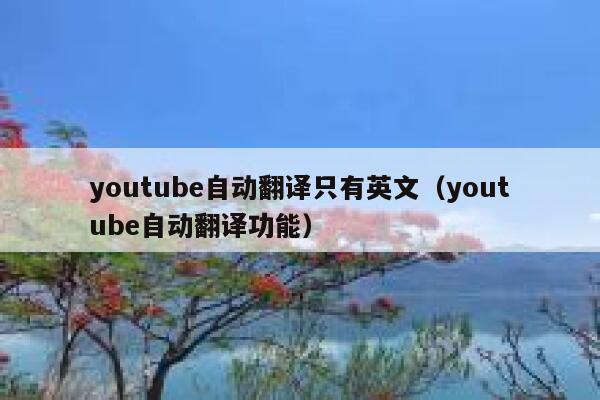youtube自动翻译只有英文(youtube自动翻译功能) 第1张 youtube自动翻译只有英文(youtube自动翻译功能) 第1张