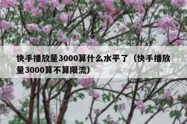 快手播放量3000算什么水平了(快手播放量3000算不算限流) 第1张 快手播放量3000算什么水平了(快手播放量3000算不算限流) 第1张