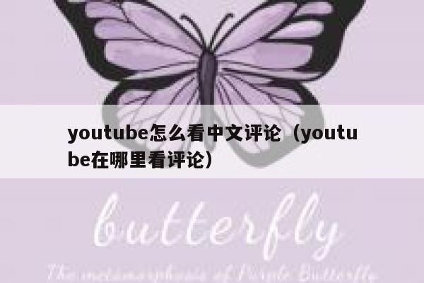 youtube怎么看中文评论(youtube在哪里看评论) 第1张 youtube怎么看中文评论(youtube在哪里看评论) 第1张