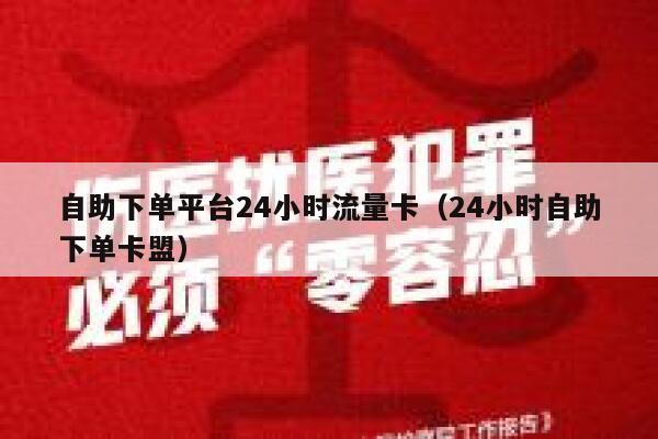 自助下单平台24小时流量卡（24小时自助下单卡盟） 第1张