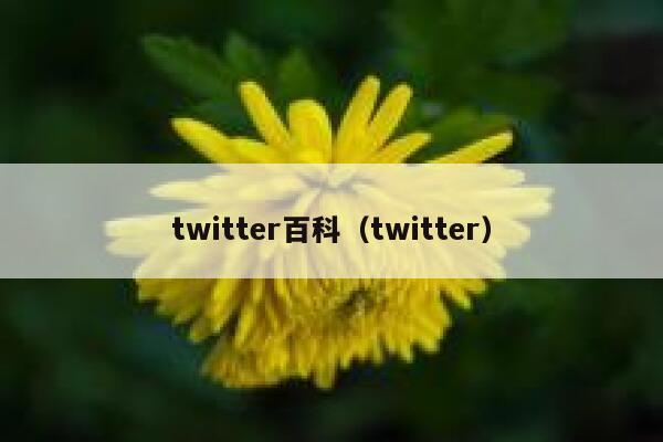 twitter百科（twitter） 第1张
